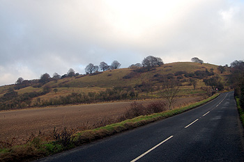 Bison Hill December 2008